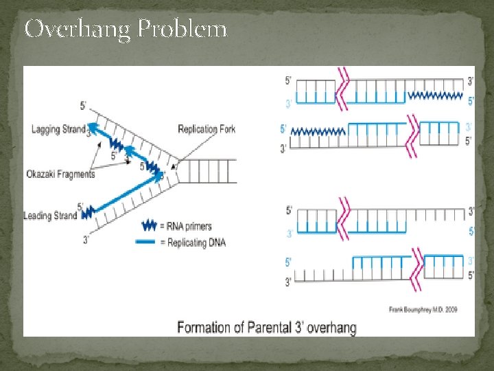 Overhang Problem 