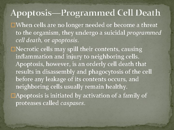 Apoptosis—Programmed Cell Death �When cells are no longer needed or become a threat to