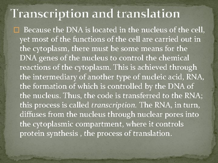 Transcription and translation � Because the DNA is located in the nucleus of the