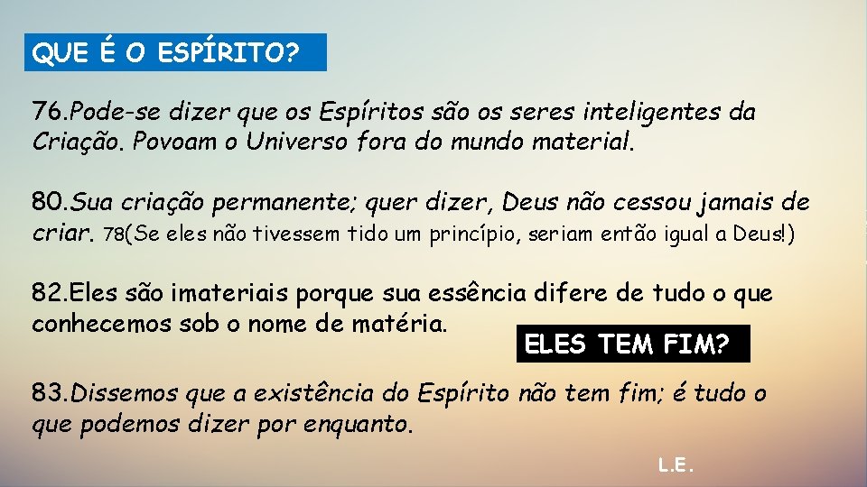 QUE É O ESPÍRITO? 76. Pode-se dizer que os Espíritos são os seres inteligentes