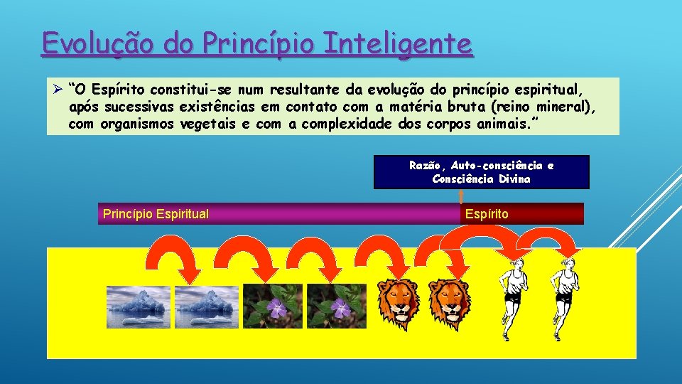 Evolução do Princípio Inteligente Ø “O Espírito constitui-se num resultante da evolução do princípio