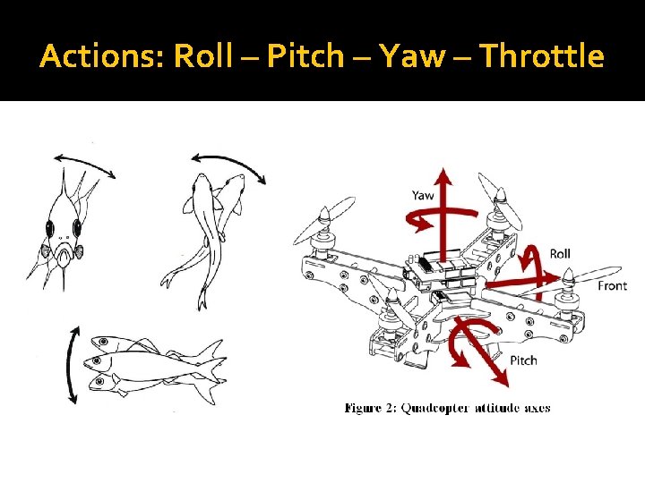 Actions: Roll – Pitch – Yaw – Throttle 