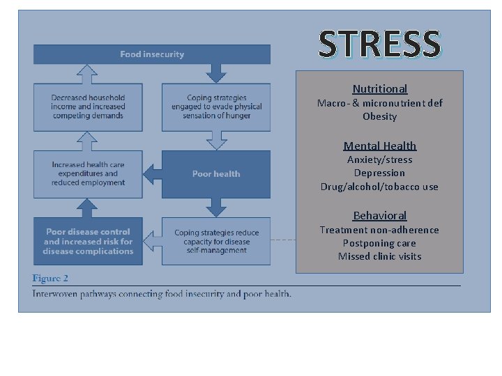 STRESS Nutritional Macro- & micronutrient def Obesity Mental Health Anxiety/stress Depression Drug/alcohol/tobacco use Behavioral