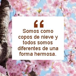 “ Somos como copos Somos como de nieve todosy copos de ynieve somos diferentes