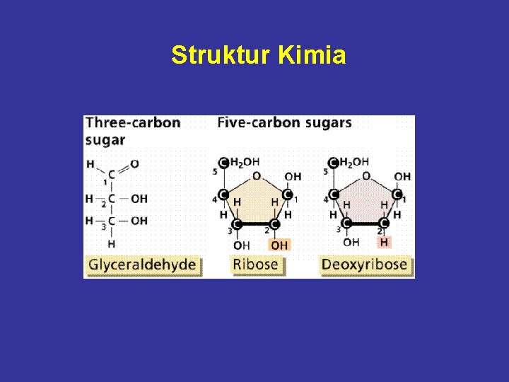 Struktur Kimia Struktur Kimia