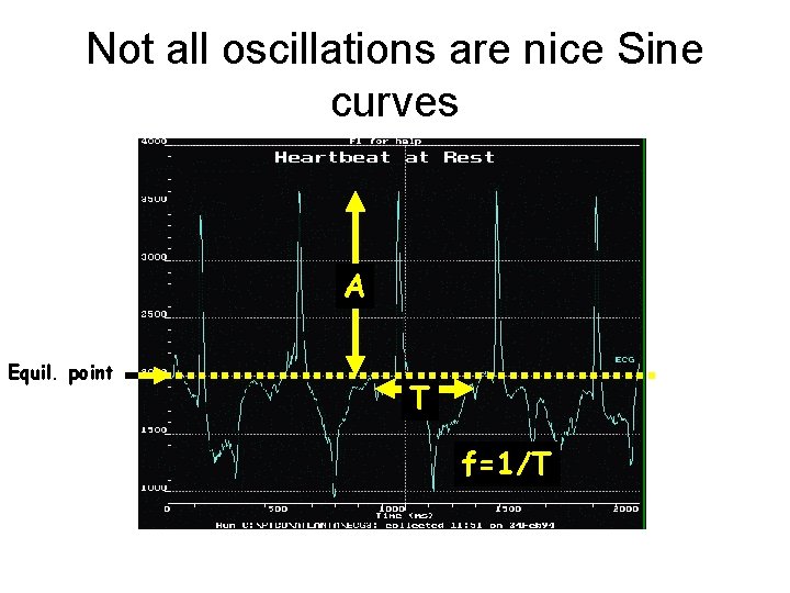 Not all oscillations are nice Sine curves A Equil. point T f=1/T 