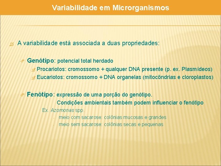 Variabilidade em Microrganismos A variabilidade está associada a duas propriedades: Genótipo: potencial total herdado