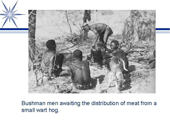 Bushman men awaiting the distribution of meat from a small wart hog. 