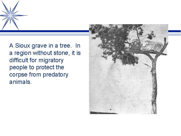 A Sioux grave in a tree. In a region without stone, it is difficult