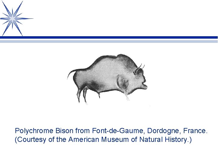 Polychrome Bison from Font-de-Gaume, Dordogne, France. (Courtesy of the American Museum of Natural History.