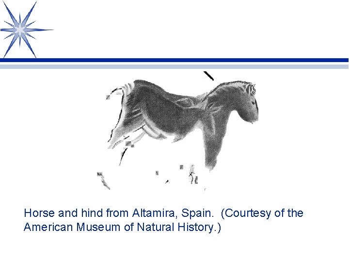 Horse and hind from Altamira, Spain. (Courtesy of the American Museum of Natural History.