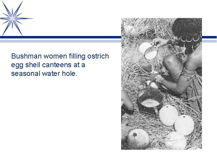 Bushman women filling ostrich egg shell canteens at a seasonal water hole. 