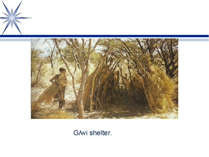 G/wi shelter. 