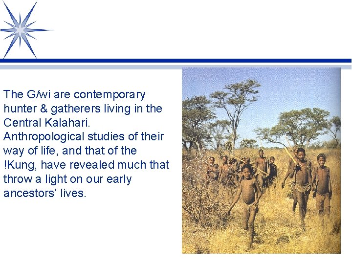 The G/wi are contemporary hunter & gatherers living in the Central Kalahari. Anthropological studies