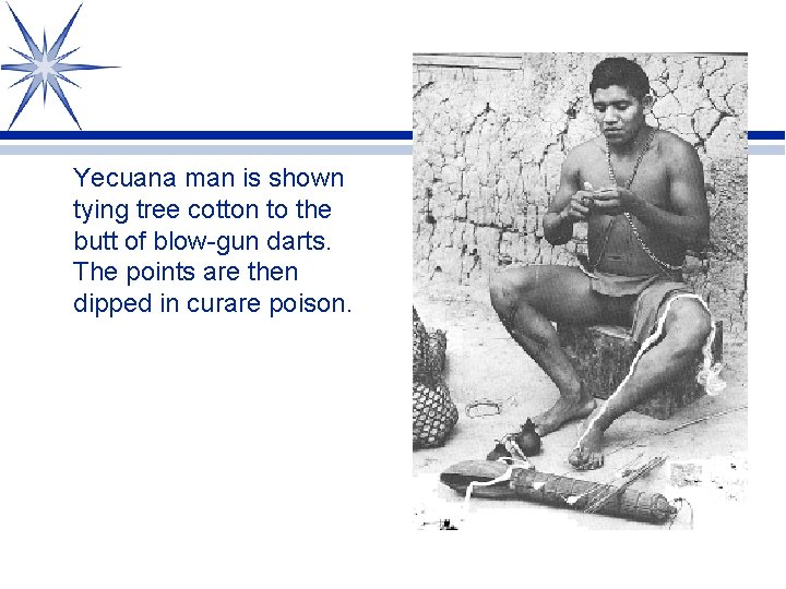 Yecuana man is shown tying tree cotton to the butt of blow-gun darts. The