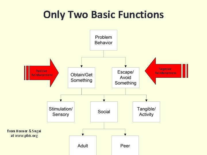 Only Two Basic Functions Positive Reinforcement from Horner & Sugai at www. pbis. org