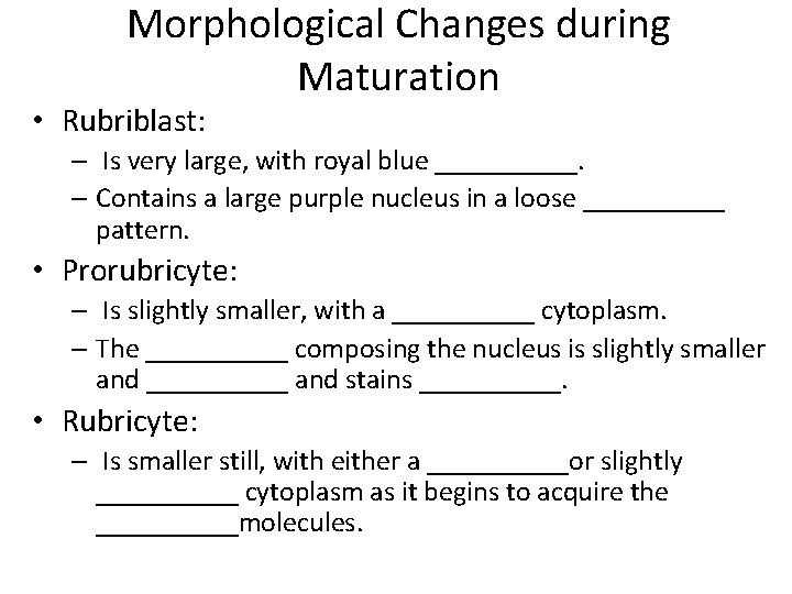 Morphological Changes during Maturation • Rubriblast: – Is very large, with royal blue _____.