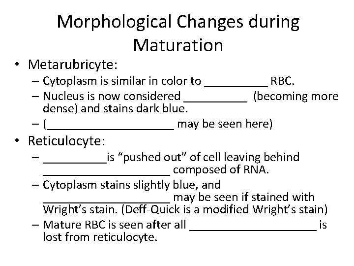 Morphological Changes during Maturation • Metarubricyte: – Cytoplasm is similar in color to _____