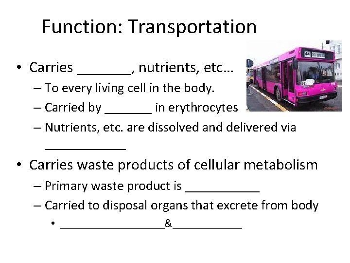 Function: Transportation • Carries _______, nutrients, etc… – To every living cell in the