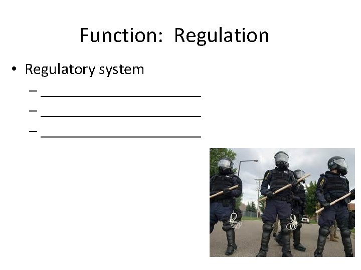 Function: Regulation • Regulatory system – _______________________ – ____________ 