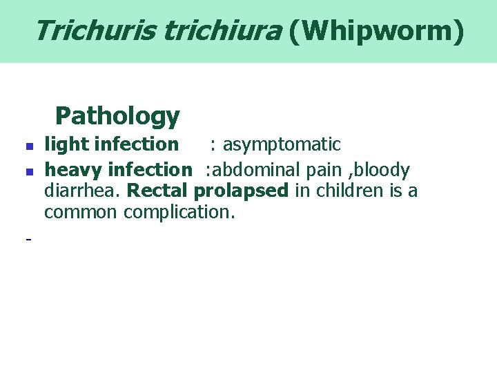 Trichuris trichiura (Whipworm) Pathology n n - light infection : asymptomatic heavy infection :