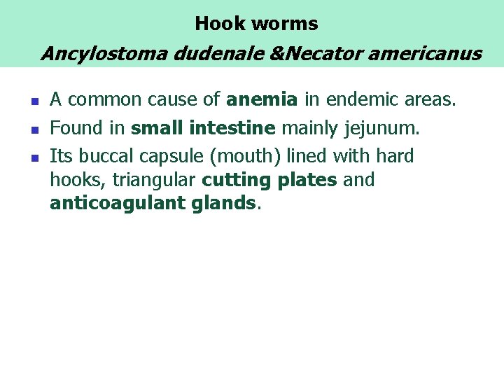  Hook worms Ancylostoma dudenale &Necator americanus n n n A common cause of