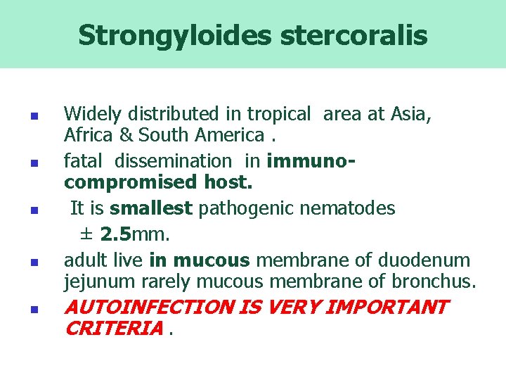 Strongyloides stercoralis Widely distributed in tropical area at Asia, Africa & South America. n