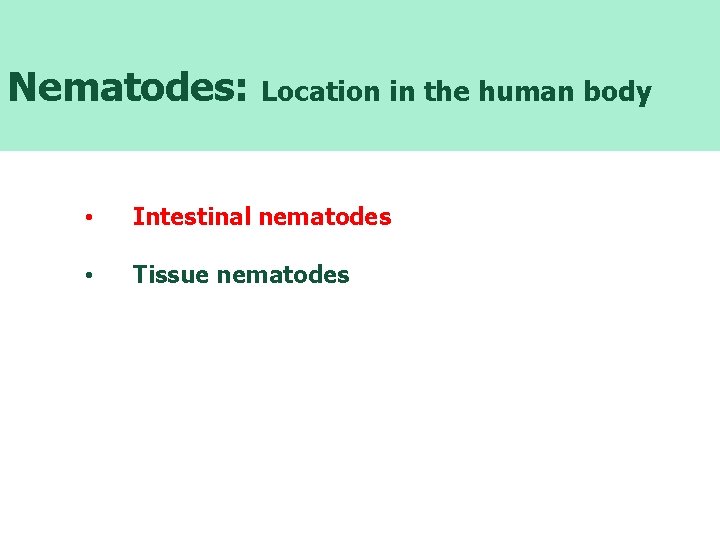 Nematodes: Location in the human body • Intestinal nematodes • Tissue nematodes 