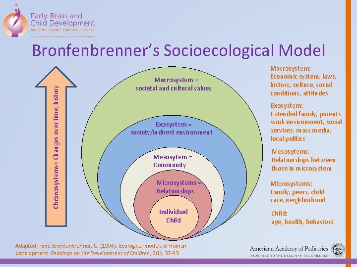 Chronosystems= Changes over time, history Bronfenbrenner’s Socioecological Model Macrosystem = societal and cultural values