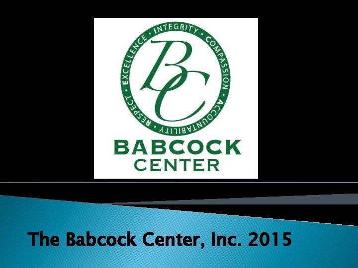 The Babcock Center, Inc. 2015 