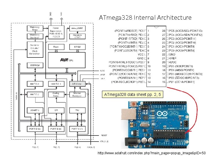 ATmega 328 Internal Architecture ATmega 328 data sheet pp. 2, 5 http: //www. adafruit.