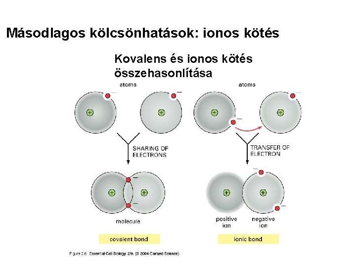 Másodlagos kölcsönhatások: ionos kötés Kovalens és ionos kötés összehasonlítása 