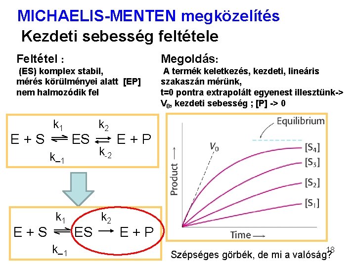 MICHAELIS-MENTEN megközelítés Kezdeti sebesség feltétele Feltétel : Megoldás: (ES) komplex stabil, mérés körülményei alatt