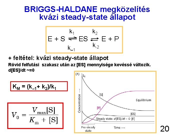 BRIGGS-HALDANE megközelítés kvázi steady-state állapot E+S k 1 k – 1 ES k 2