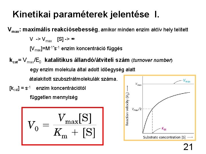 Kinetikai paraméterek jelentése I. Vmax: maximális reakciósebesség, amikor minden enzim aktív hely telített V