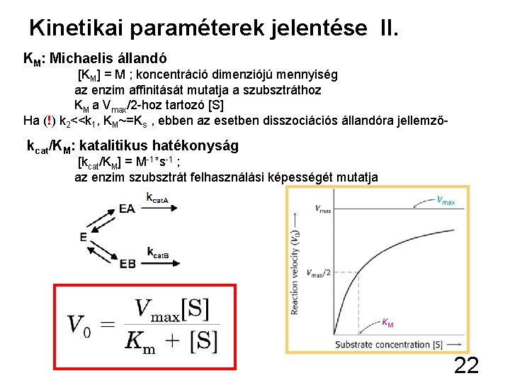Kinetikai paraméterek jelentése II. KM: Michaelis állandó [KM] = M ; koncentráció dimenziójú mennyiség