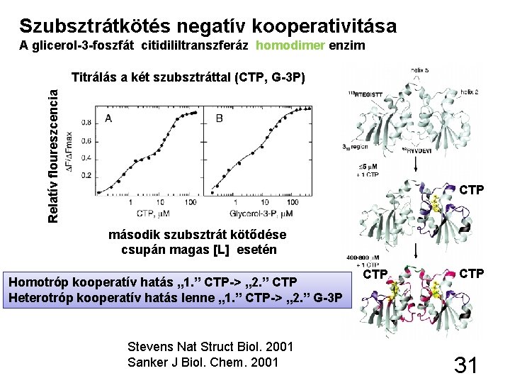 Szubsztrátkötés negatív kooperativitása A glicerol-3 -foszfát citidililtranszferáz homodimer enzim Relatív floureszcencia Titrálás a két