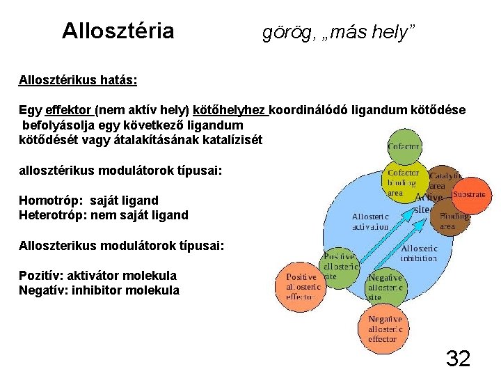 Allosztéria görög, „más hely” Allosztérikus hatás: Egy effektor (nem aktív hely) kötőhelyhez koordinálódó ligandum