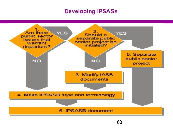 Developing IPSASs 63 