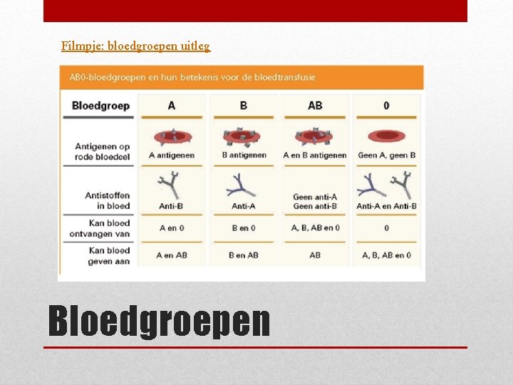 Filmpje: bloedgroepen uitleg Bloedgroepen 