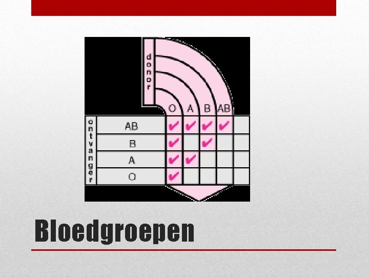 Bloedgroepen 