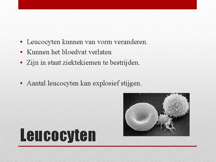  • Leucocyten kunnen van vorm veranderen. • Kunnen het bloedvat verlaten • Zijn