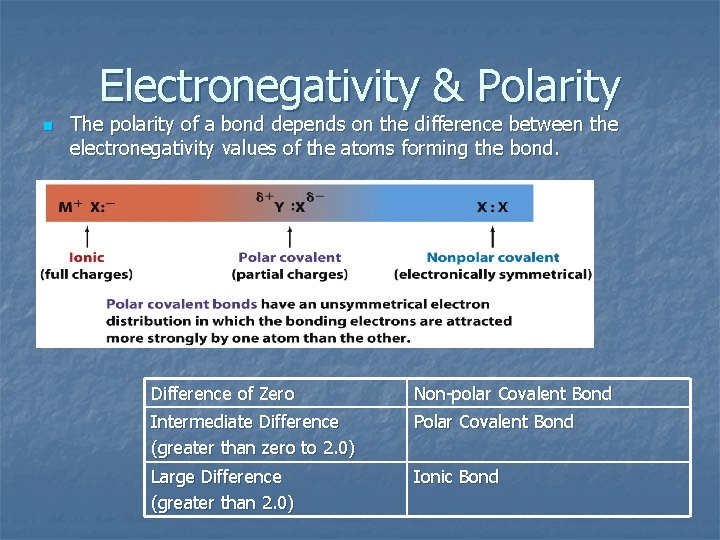 Electronegativity & Polarity n The polarity of a bond depends on the difference between