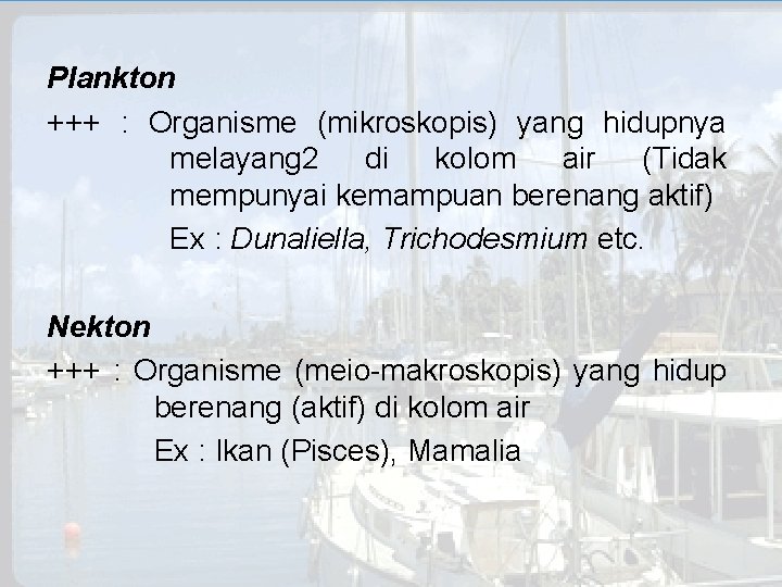 Plankton +++ : Organisme (mikroskopis) yang hidupnya melayang 2 di kolom air (Tidak mempunyai