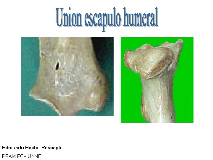 Edmundo Hector Resoagli: PRAM FCV UNNE 