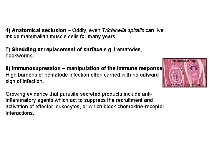 4) Anatomical seclusion – Oddly, even Trichinella spiralis can live inside mammalian muscle cells