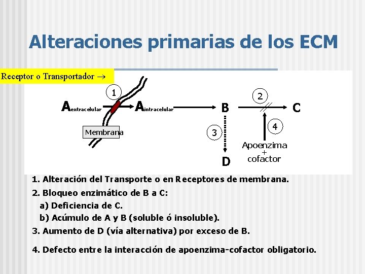 Alteraciones primarias de los ECM Receptor o Transportador A 1 extracelular Membrana A 2