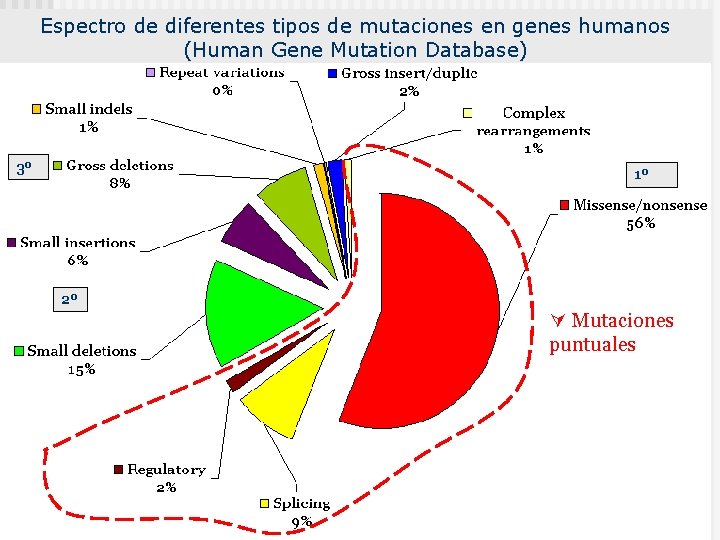 Espectro de diferentes tipos de mutaciones en genes humanos (Human Gene Mutation Database) 3º