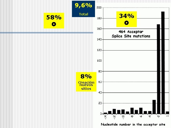 9, 6% 58% Total 8% Creación nuevos sitios 34% 