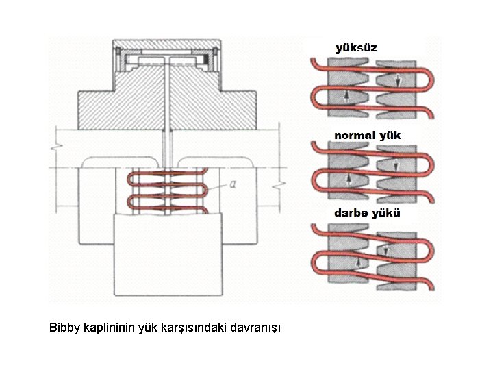 Bibby kaplininin yük karşısındaki davranışı 